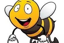 蚂蚁与蜂蜜 漫画,一场甜蜜的智慧较量